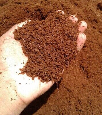 Coconut coir peat Coco peat 1.4 pound (650g) bricks - RMS Natural