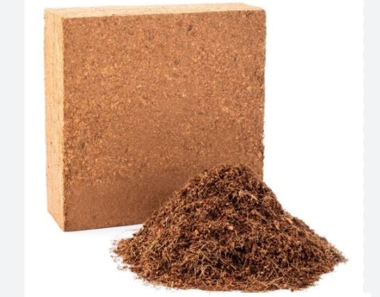 Cocopeat Coco peat 11pound (5Kg) compressed coconut coir peat brick Briquets